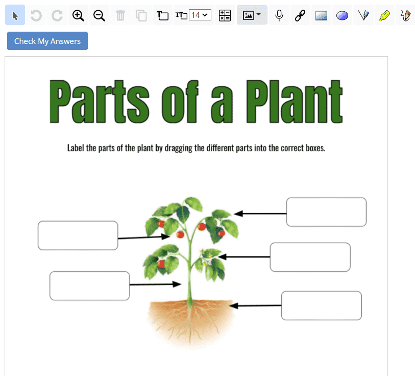 Interactive PDF: The Pieces of Me Worksheet (teacher made)