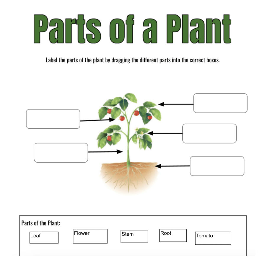 Interactive PDF: The Pieces of Me Worksheet (teacher made)